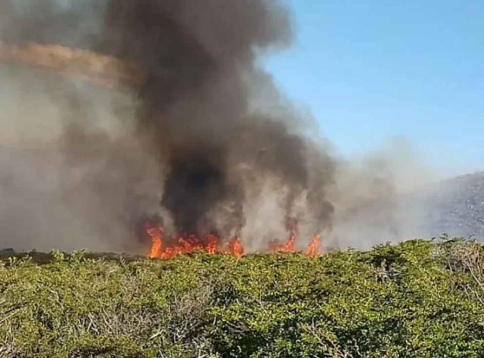Combaten incendio forestal en las nacientes del río Chubut