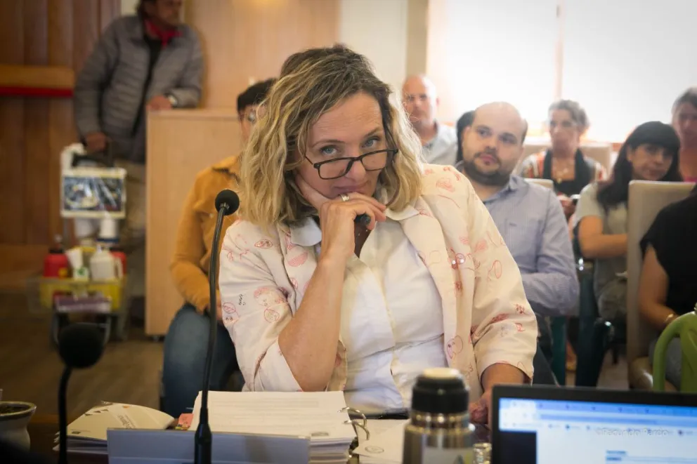 Echenique se refirió a la polémica frase y explicó que en ningún momento se refirió a la violencia de género. 