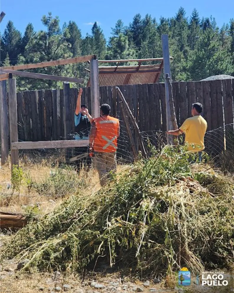 Desarticularon 4 tomas ilegales a la vera de un río