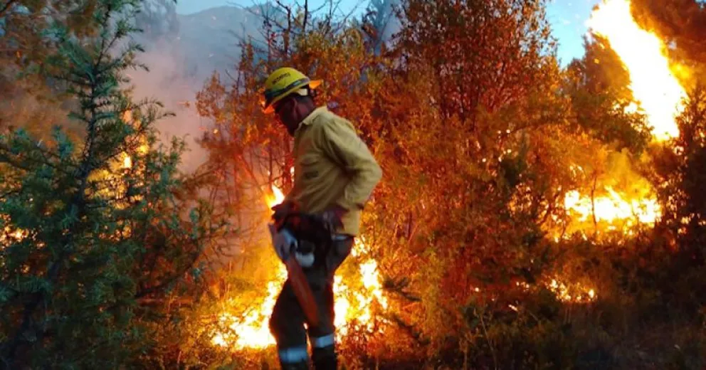 Un incendio forestal en el aeródromo puso en alerta la comunidad de El Bolsón