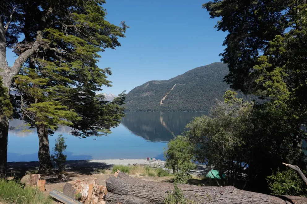 ¿Qué decía el comodato dado de baja en relación a dos hectáreas en Mascardi?
