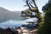 El camino que desembocó en que dos hectáreas de la zona del lago Mascardi volvieran a Parques Nacionales… y algo más