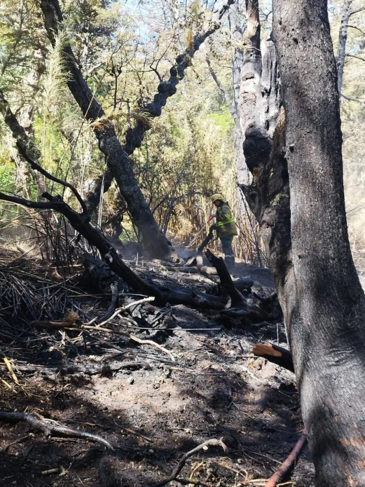 Controlan incendio en la zona de Lago Hermoso