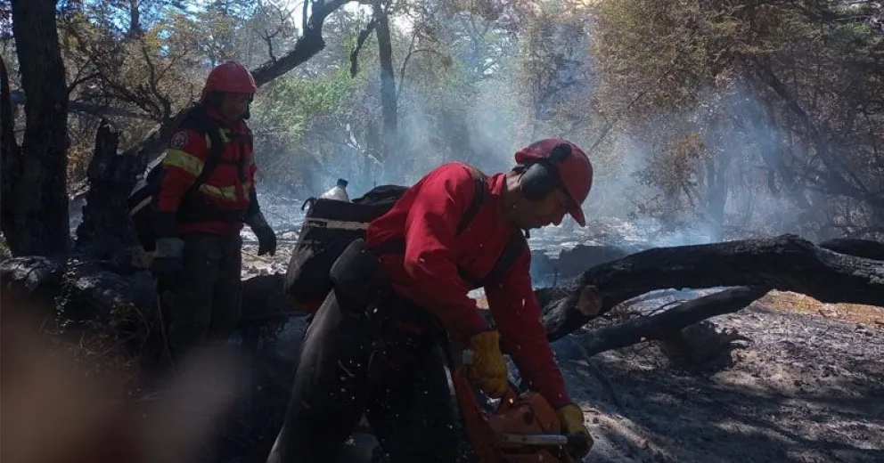 Continúa activo el incendio en el Parque Nacional Los Alerces