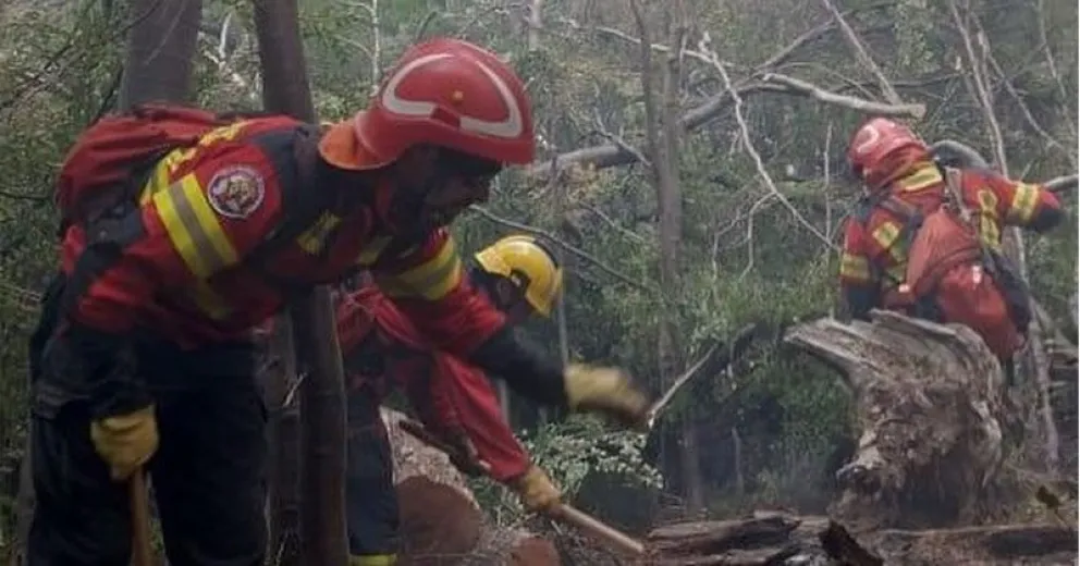 Los medios aéreos son un complemento del trabajo de brigadistas