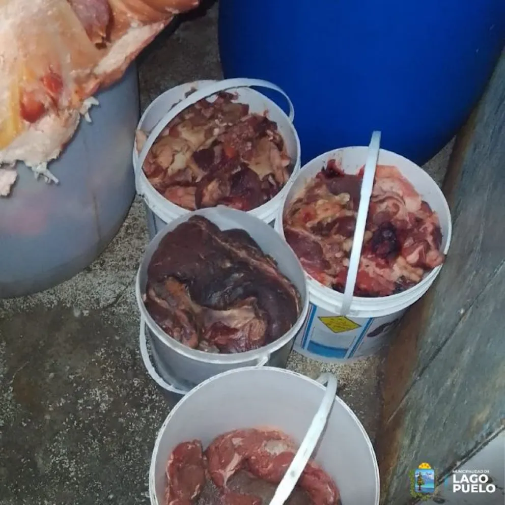 Decomisaron más de 70 kg de carne en mal estado en un comercio con antecedentes y denuncias