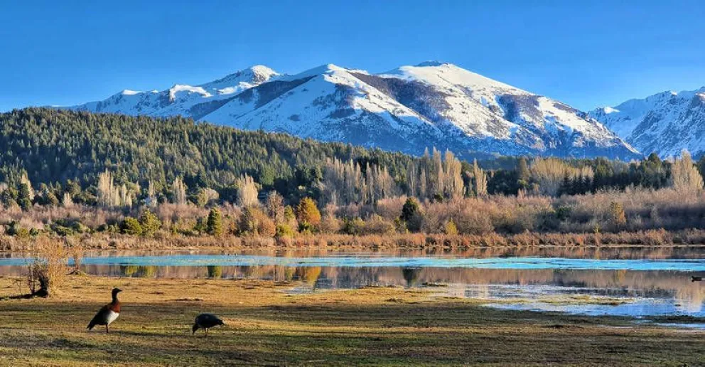 Los mallines, de temidos como fuente de enfermedades a sujetos de “cuidado exquisito”