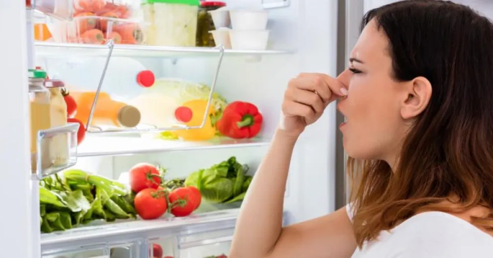 El truco infalible para eliminar los malos olores de la heladera