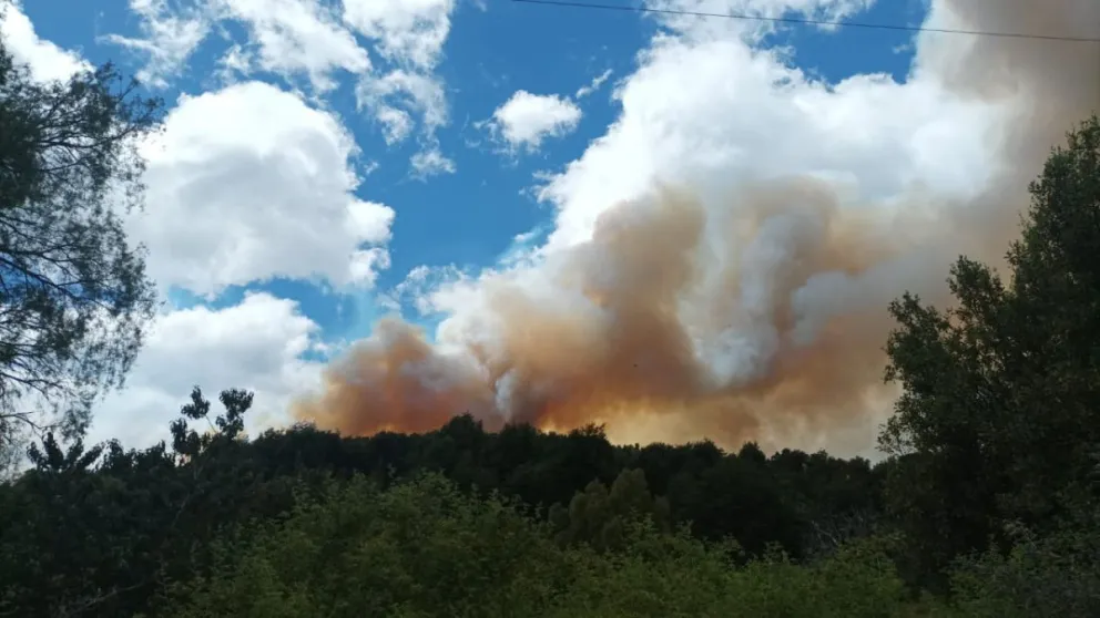 Las llamas siguen avanzando y ya consumieron 3147 hectáreas de bosque