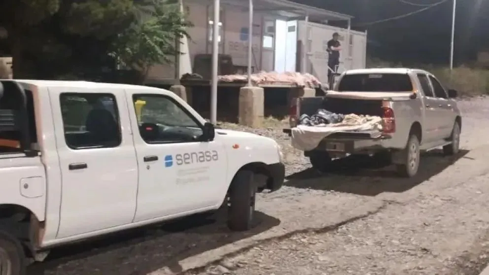 Los atraparon con 600 kilos de carne con hueso en el Alto Valle