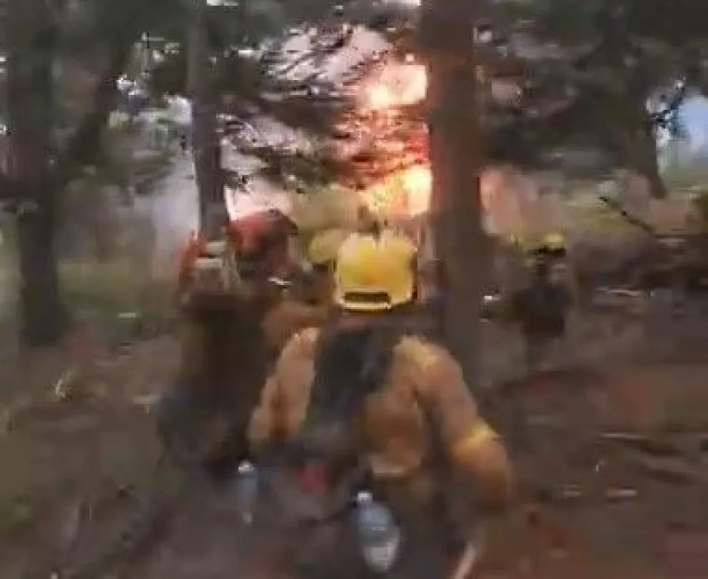 El incendio del Parque Nacional Los Alerces ya consumió seis mil hectáreas  