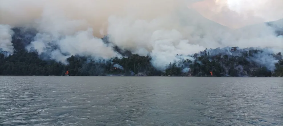 El incendio sigue activo en la zona de Brazo Tristeza 