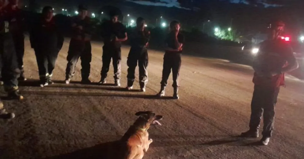 Bomberos Voluntarios Bariloche y su brigada canina dieron curso sobre búsqueda y rescate de personas