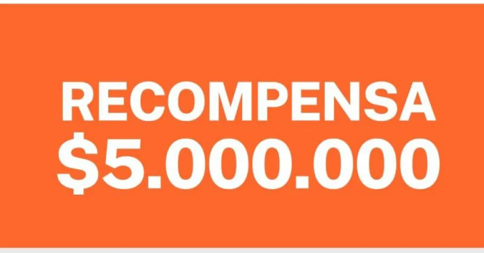 Ofrecen 5 millones de pesos de recompensa a quien aporte datos sobre los incendios