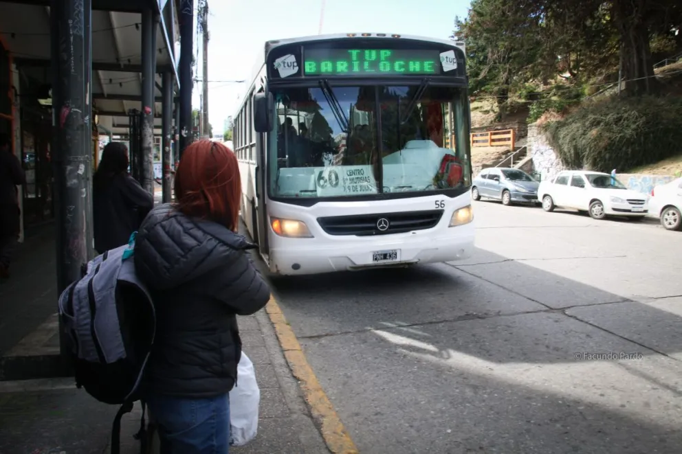 Uno de los colectivos recibió varios proyectiles cuando circulaba por las calles internas del barrio 270 Viviendas.