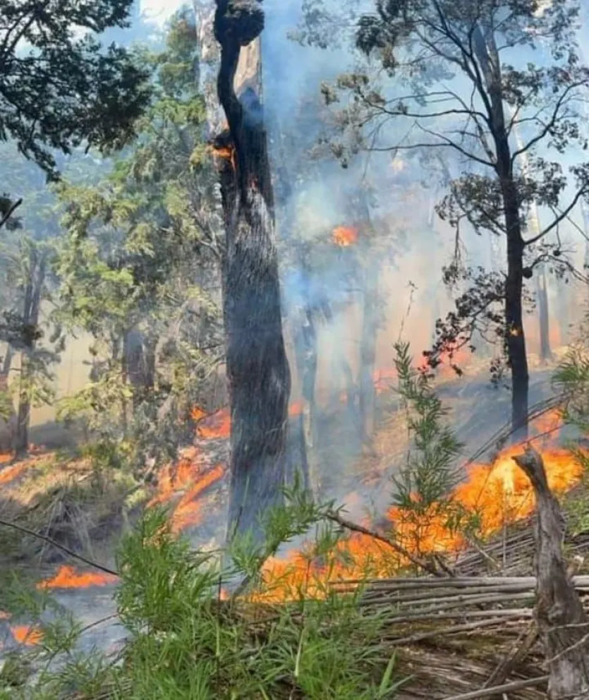 El fuego continúa imparable en el Parque Nacional Los Alerces y ya afectó 7600 hectáreas