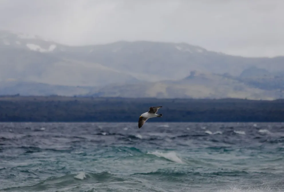 ¿Domingo nublado en Bariloche?