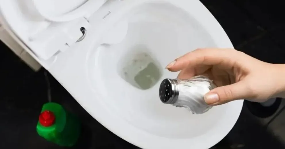 Por qué se aconseja echar sal al inodoro todas las noches