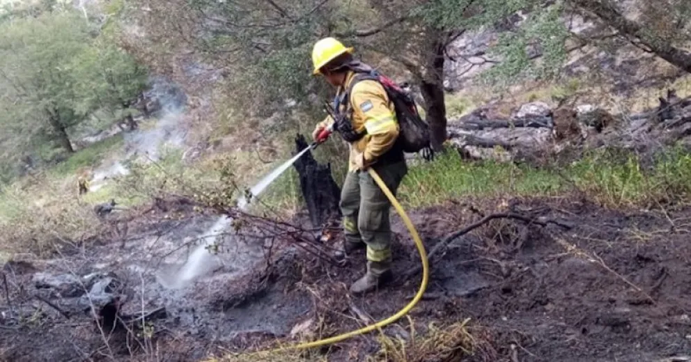 Todos podemos aportar para evitar incendios forestales
