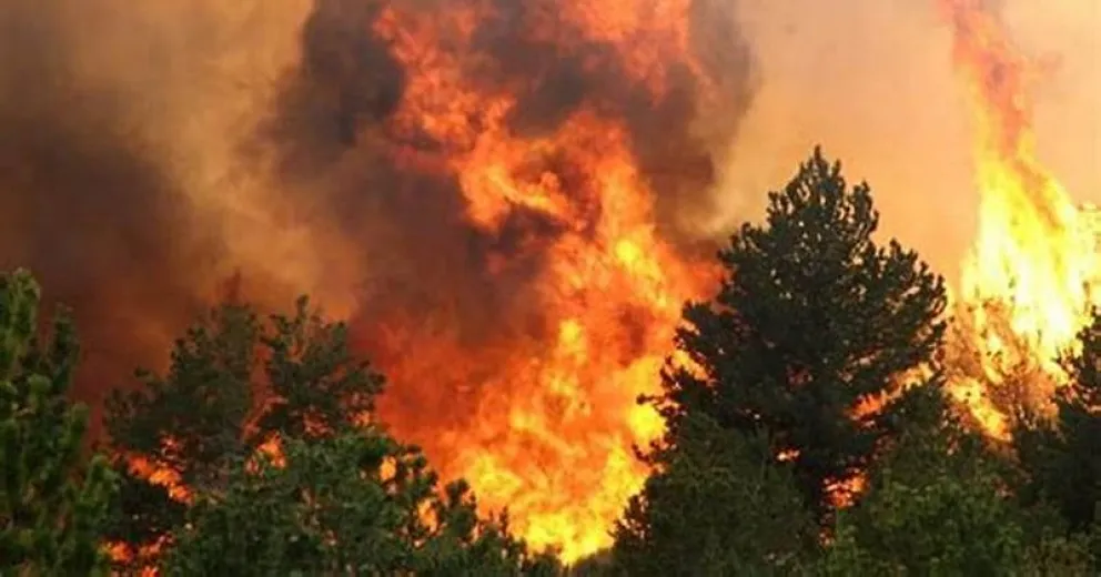 Son 285 los combatientes del fuego en el Parque Nacional Los Alerces