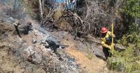 El incendio sigue activo y ya consumió más de ocho mil hectáreas