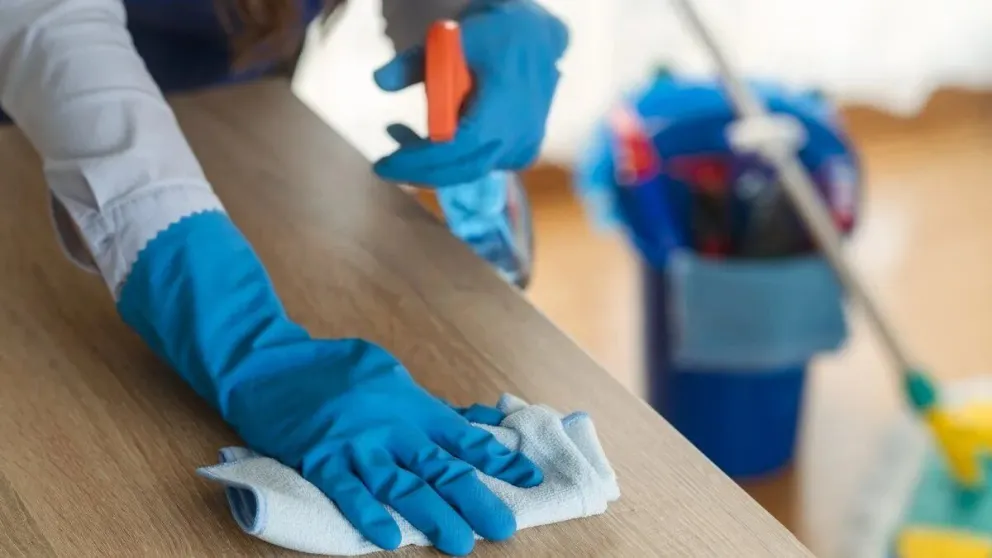 El Gobierno convocó a una reunión paritaria para el empleo doméstico