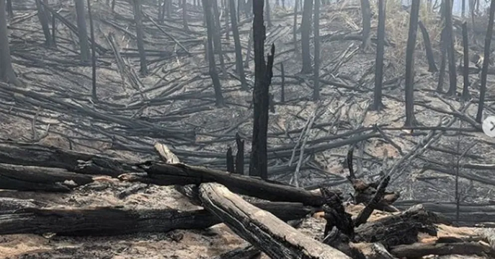 El incendio en el Parque Nacional Los Alerces sigue activo y lleva afectadas 8.315 hectáreas