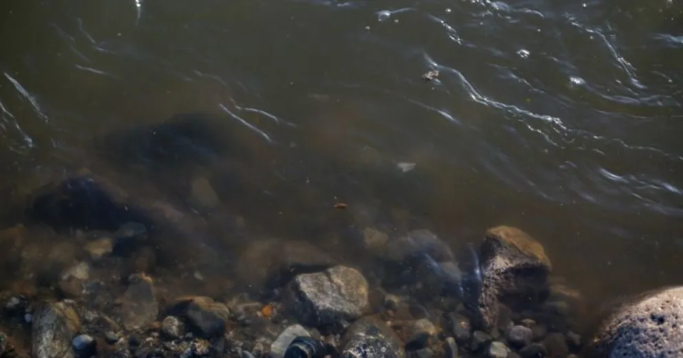 Juntas Vecinales del Oeste preocupadas por vertido de líquidos cloacales crudos al Nahuel Huapi 