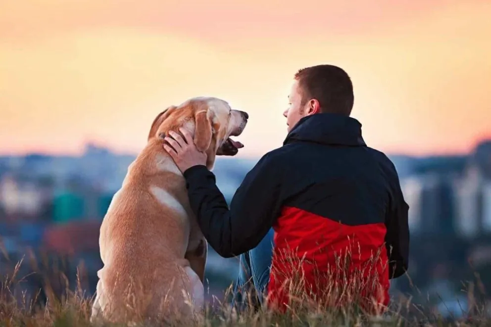 Estos son los signos del zodíaco que aman a los animales 