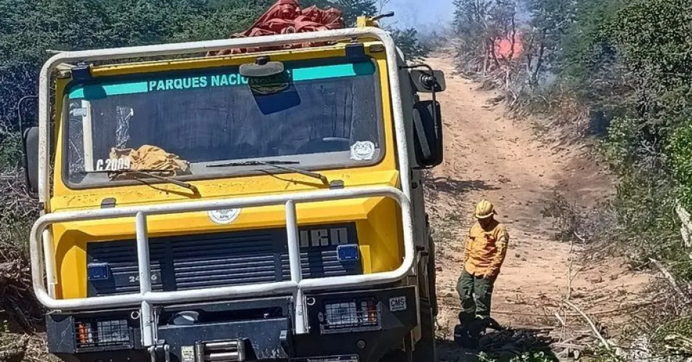 El fuego se detuvo en algunos sectores del incendio en Los Alerces