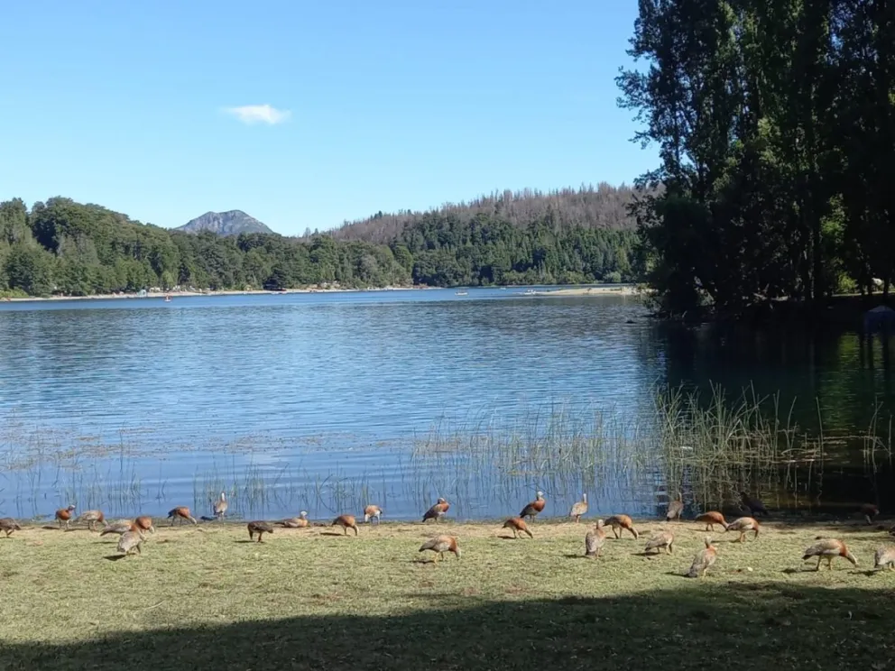 Evacuaron a una persona accidentada en el río Manso de la seccional Steffen
