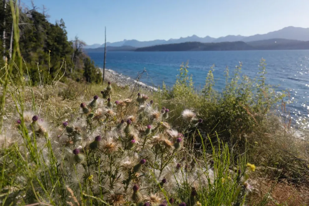 El clima de principios de marzo en Bariloche