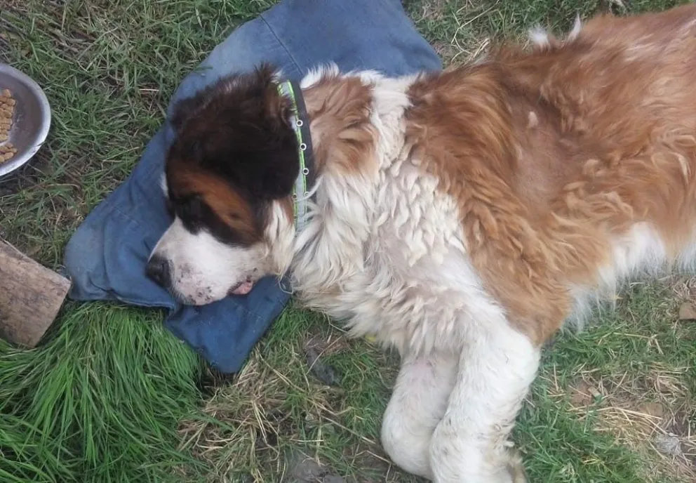 El San Bernardo neuquino sigue recuperándose en Bariloche 