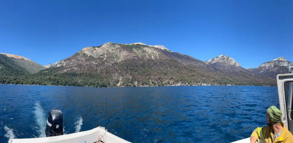 Continúa el combate del fuego por tierra y aire en el brazo Tristeza