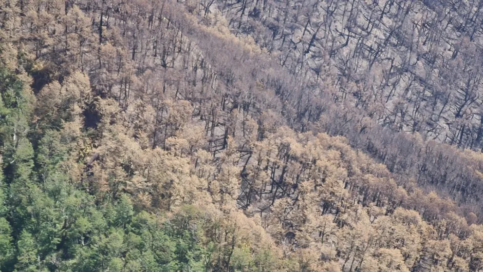 Luego de doce días el incendio de Brazo Tristeza consumió más de 630 hectáreas 