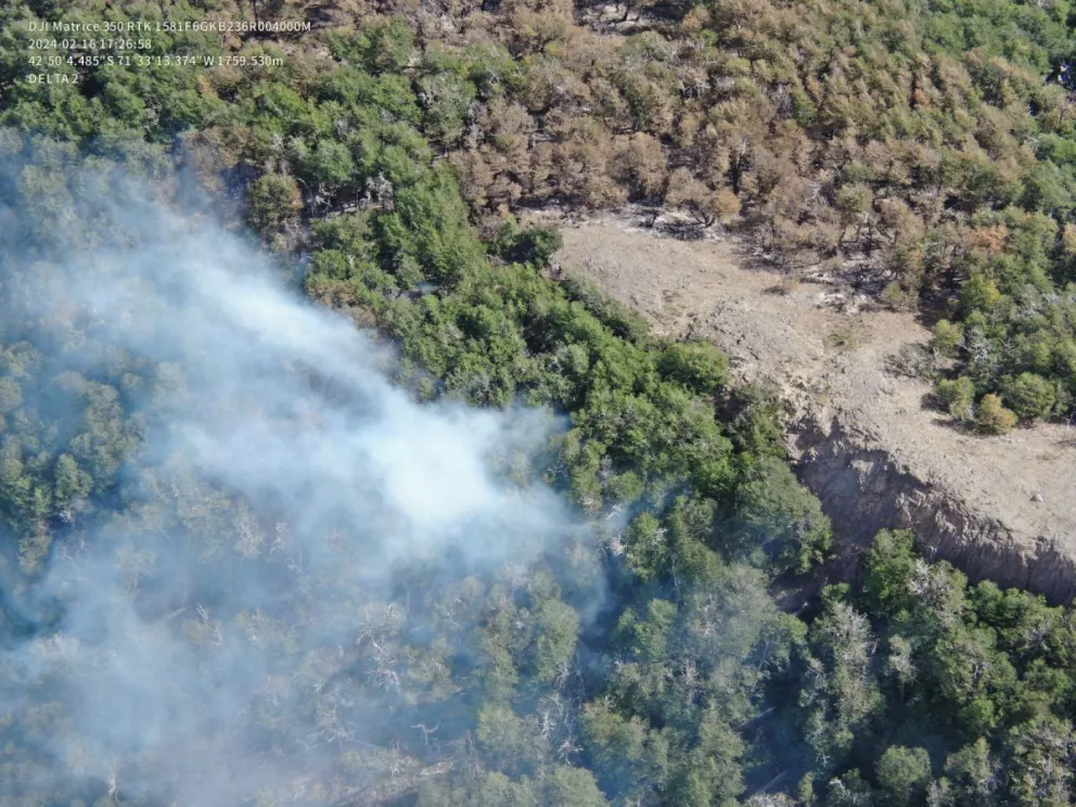 Luego de un ajuste de datos se reduce el total de hectáreas afectadas en Los Alerces