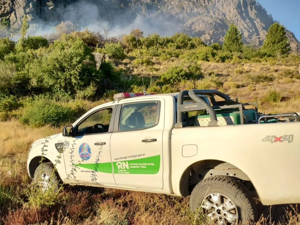 Dos hombres iban por Ñirihuau incendiando vegetación