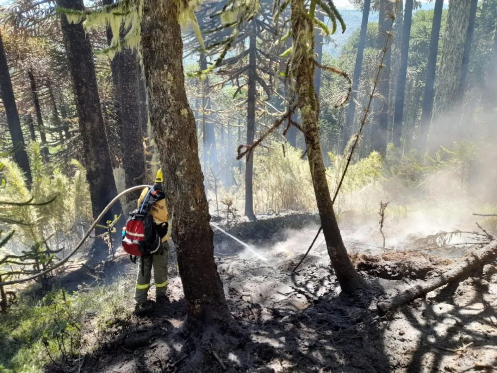 Brigadistas trabajan intensamente para controlar focos activos