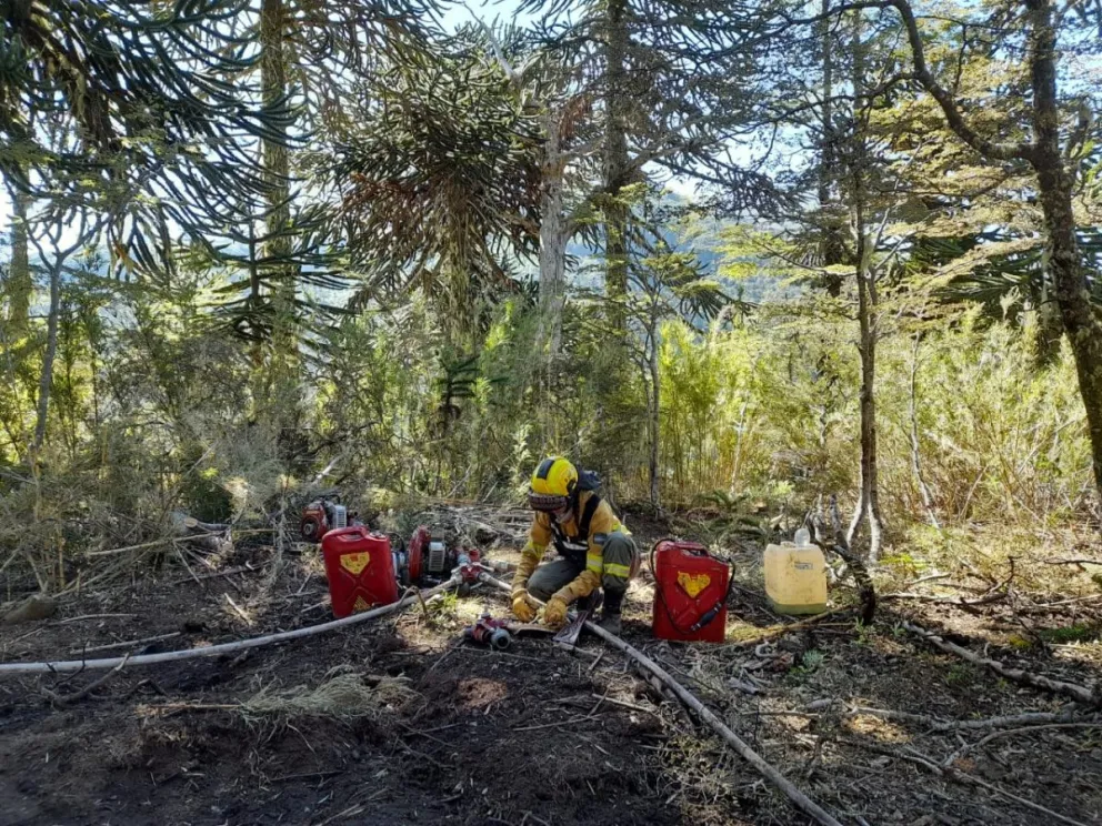 Intenso trabajo de brigadistas para controlar los focos ígneos en el Parque Nacional Lanín