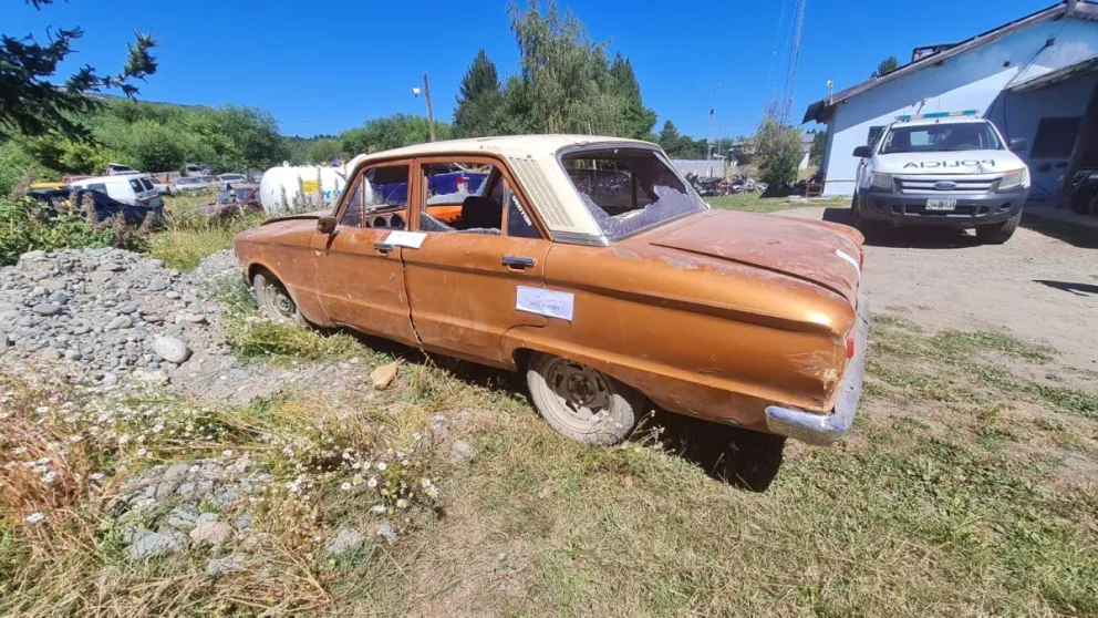 Ladrón fue sorprendido y detenido cuando intentaba sustraer ovinos en pie 