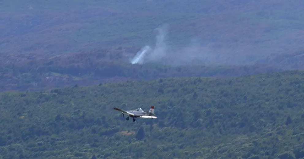 Estado actual del incendio en Parque Nacional Los Alerces
