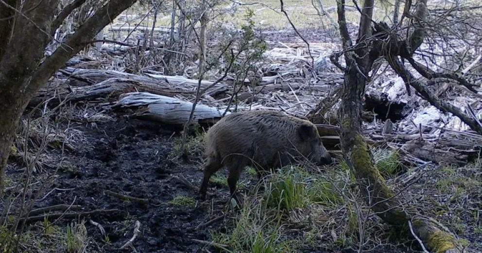 Cierre de senderos por temporada de Caza Deportiva 2024