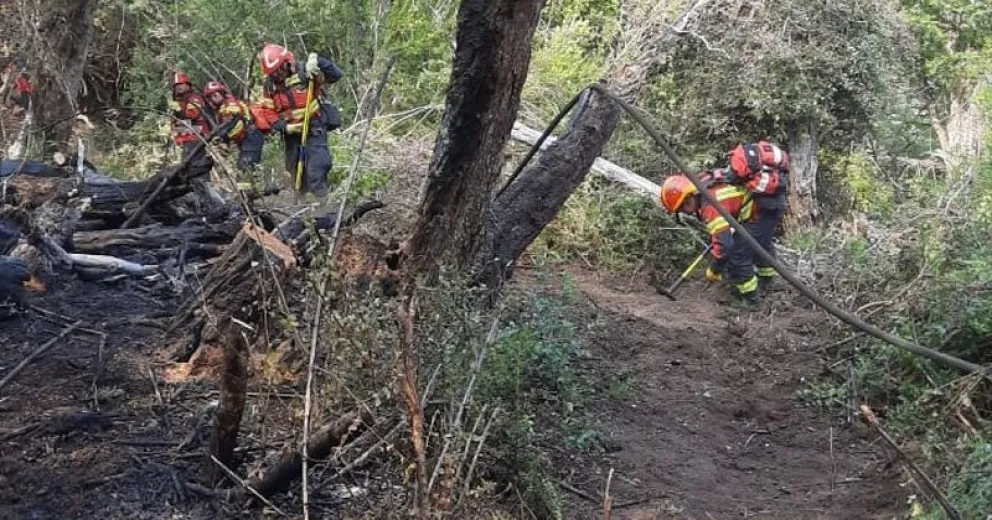 Declaran controlado el incendio en el Parque Nacional Los Alerces