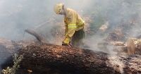 Ministerio del Interior asegura que están controlados los incendios en los parques Los Alerces y Nahuel Huapi