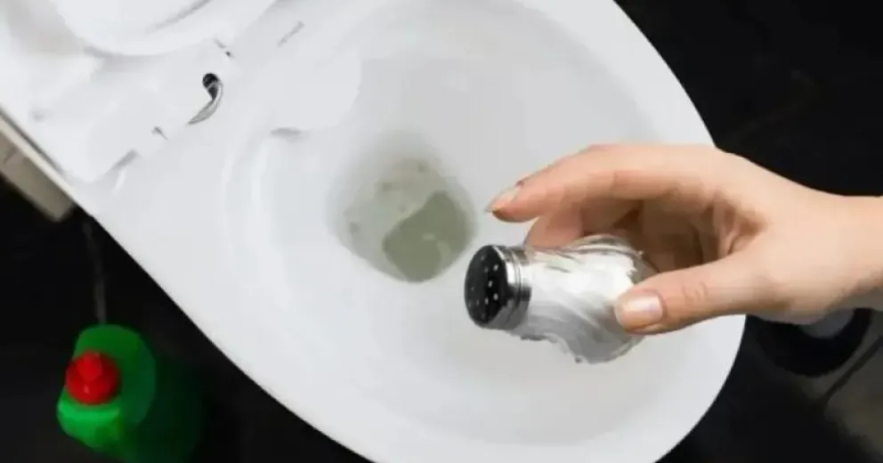 Por qué se aconseja tirar sal en el inodoro cada 15 días