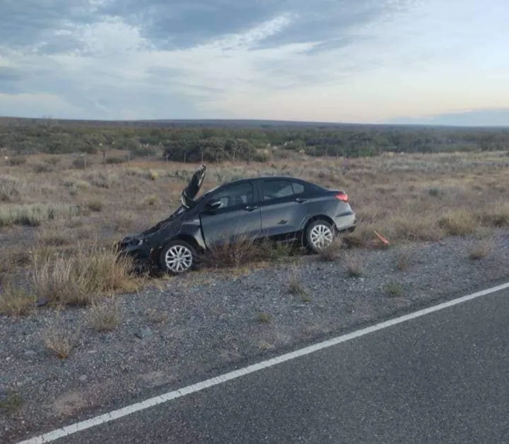 Nuevo incidente de tránsito en la Ruta 237: vehículo impactó contra animal y terminó en la banquina