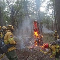 Continúan las tareas de control del fuego en el Parque Nacional Los Alerces