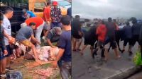 Video: volcó un camión y los vecinos faenaron animales