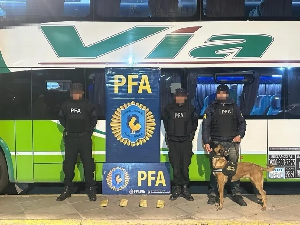 Policía Federal secuestró en Esquel cuatro ladrillos de marihuana que pasaron por Bariloche