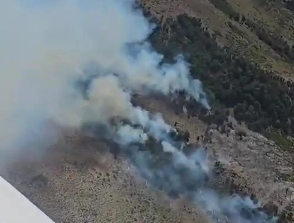 Combaten incendio forestal en la zona de Cañadón Frío